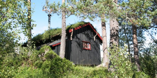 cabañas de madera para vacaciones